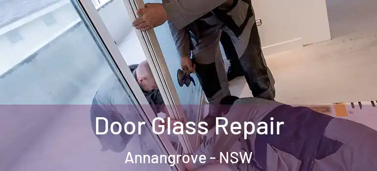 Door Glass Repair Annangrove - NSW