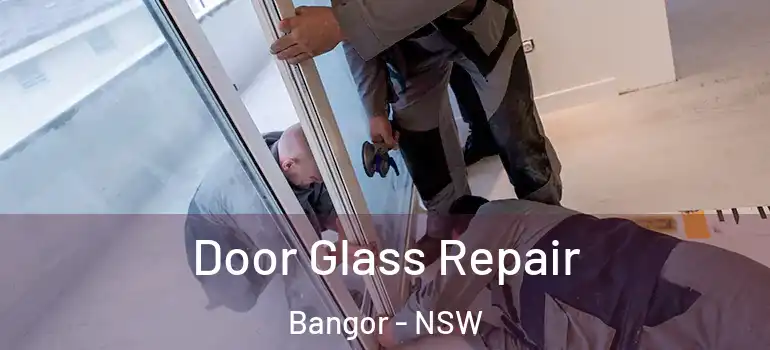 Door Glass Repair Bangor - NSW