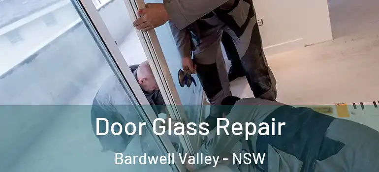 Door Glass Repair Bardwell Valley - NSW