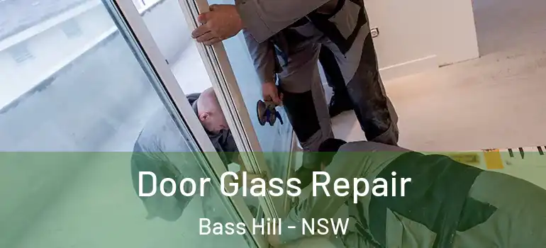 Door Glass Repair Bass Hill - NSW