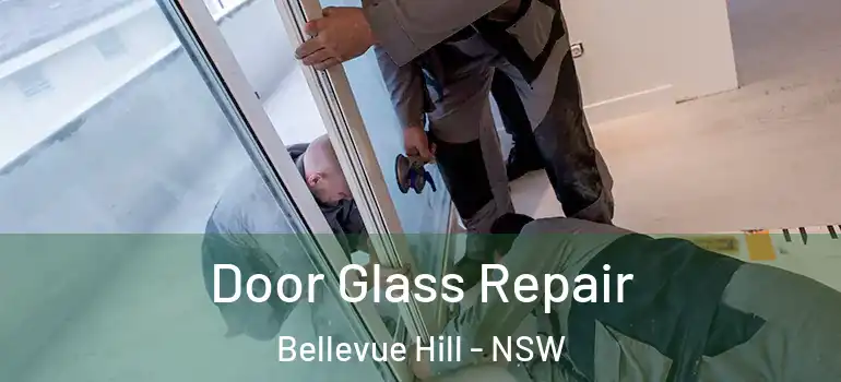 Door Glass Repair Bellevue Hill - NSW