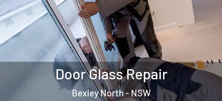 Door Glass Repair Bexley North - NSW