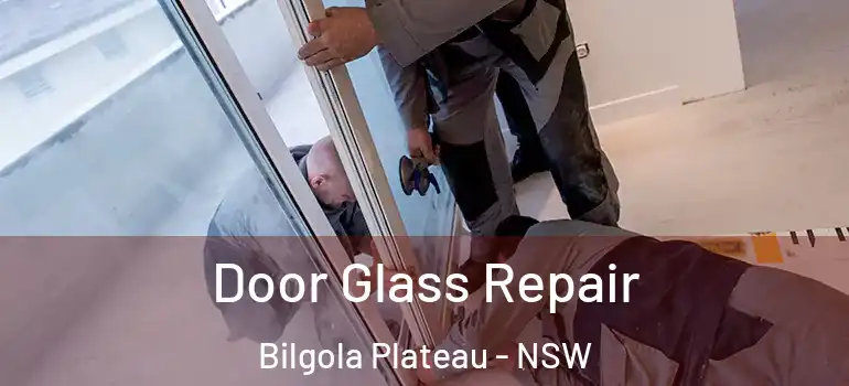 Door Glass Repair Bilgola Plateau - NSW