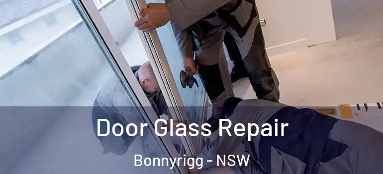 Door Glass Repair Bonnyrigg - NSW