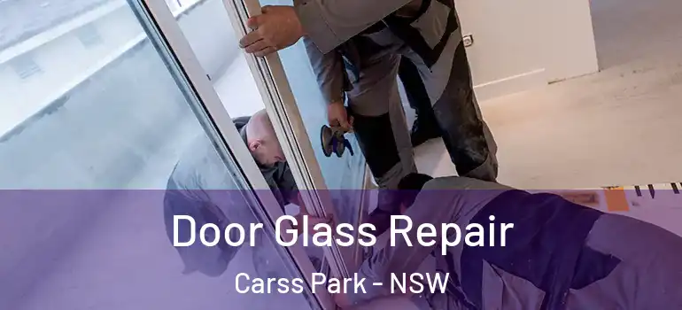 Door Glass Repair Carss Park - NSW