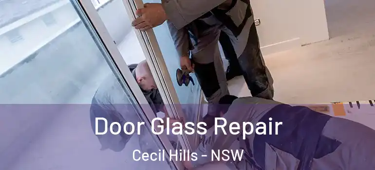 Door Glass Repair Cecil Hills - NSW