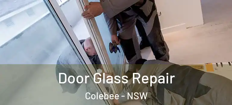 Door Glass Repair Colebee - NSW
