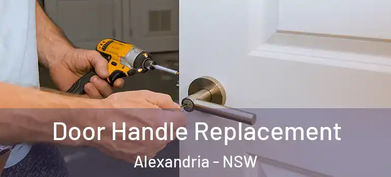Door Handle Replacement Alexandria - NSW