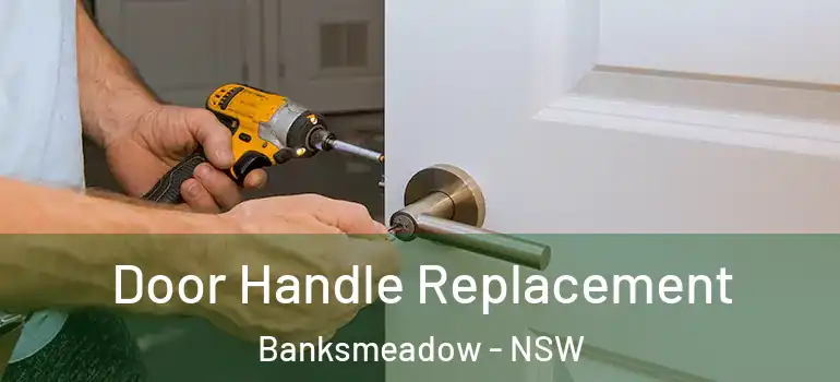 Door Handle Replacement Banksmeadow - NSW