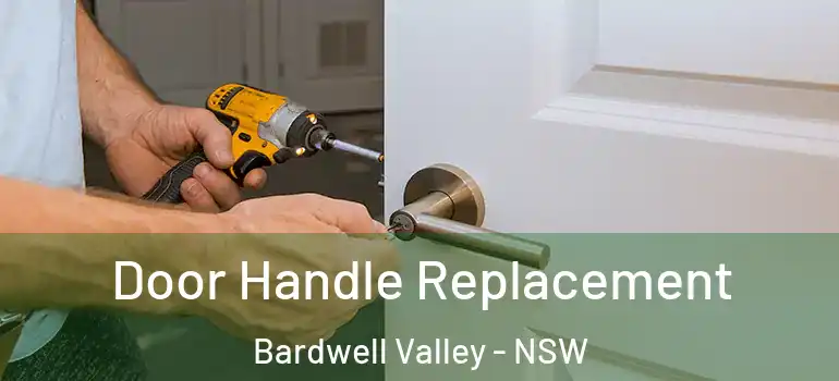 Door Handle Replacement Bardwell Valley - NSW