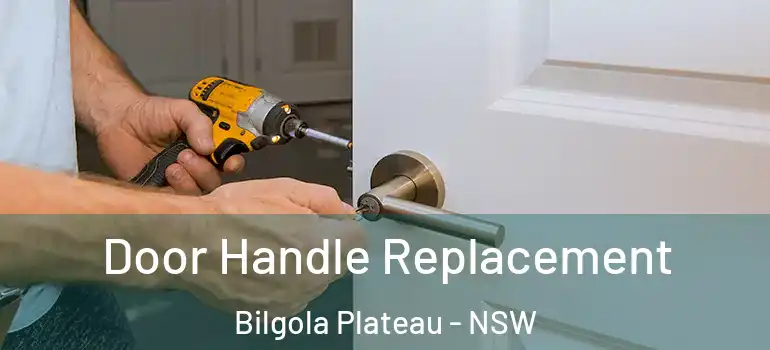 Door Handle Replacement Bilgola Plateau - NSW