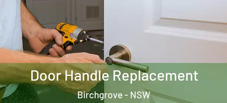  Door Handle Replacement Birchgrove - NSW