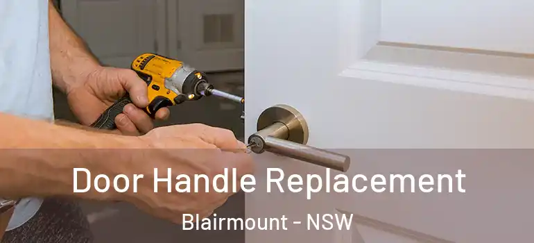  Door Handle Replacement Blairmount - NSW