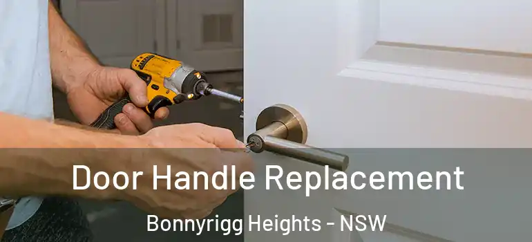 Door Handle Replacement Bonnyrigg Heights - NSW