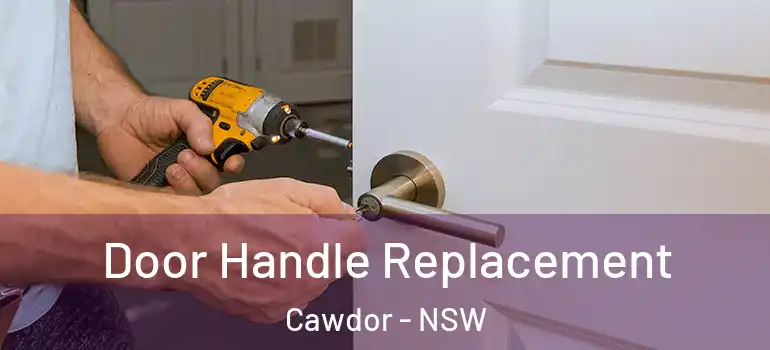  Door Handle Replacement Cawdor - NSW