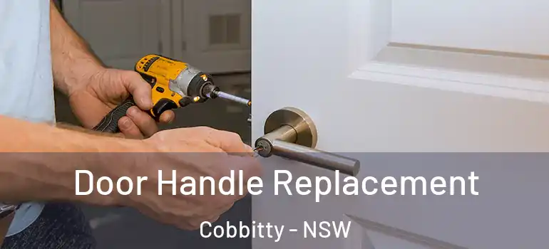 Door Handle Replacement Cobbitty - NSW
