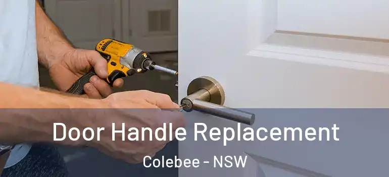 Door Handle Replacement Colebee - NSW
