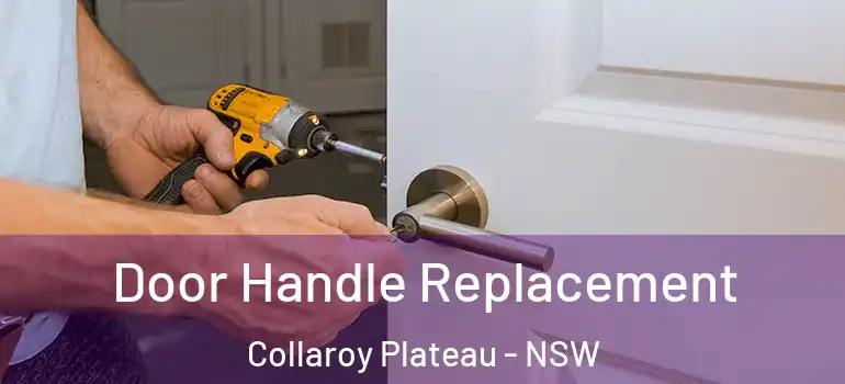 Door Handle Replacement Collaroy Plateau - NSW