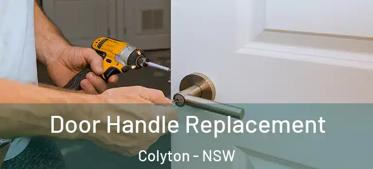 Door Handle Replacement Colyton - NSW