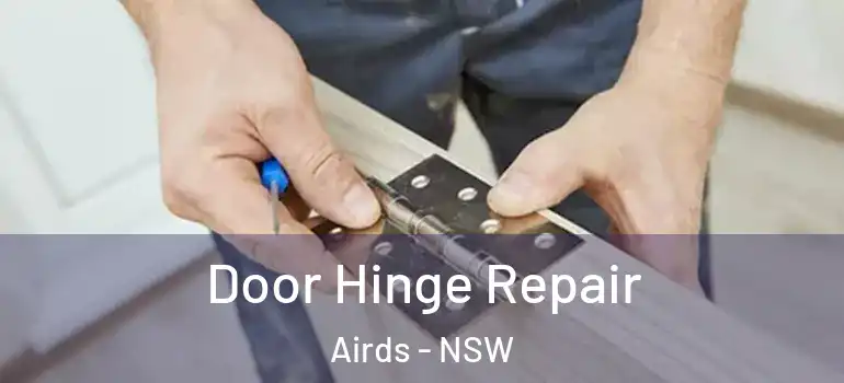  Door Hinge Repair Airds - NSW