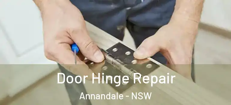 Door Hinge Repair Annandale - NSW