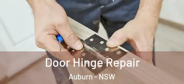 Door Hinge Repair Auburn - NSW