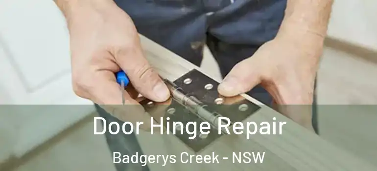 Door Hinge Repair Badgerys Creek - NSW
