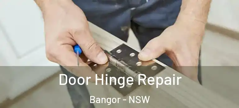 Door Hinge Repair Bangor - NSW
