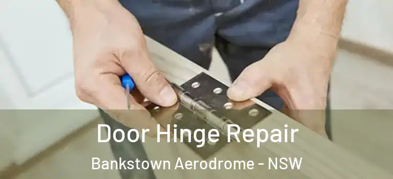 Door Hinge Repair Bankstown Aerodrome - NSW