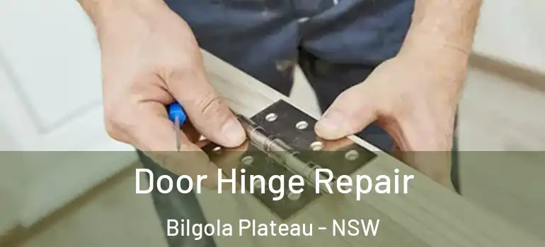Door Hinge Repair Bilgola Plateau - NSW