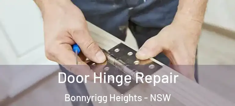 Door Hinge Repair Bonnyrigg Heights - NSW