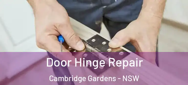  Door Hinge Repair Cambridge Gardens - NSW