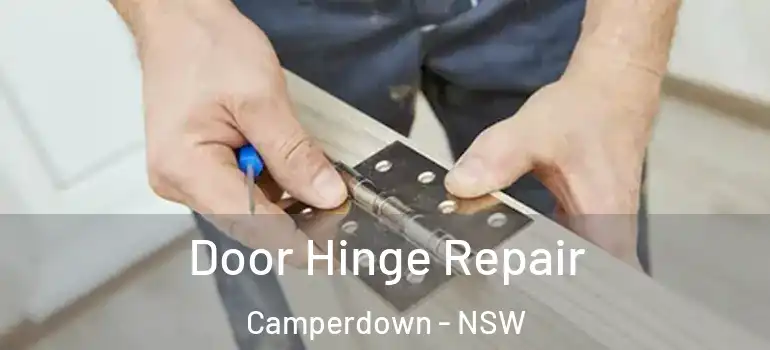 Door Hinge Repair Camperdown - NSW