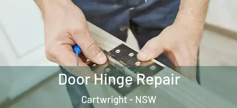 Door Hinge Repair Cartwright - NSW