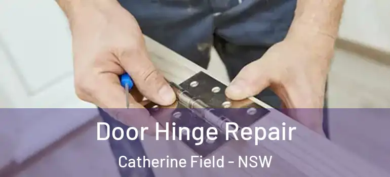Door Hinge Repair Catherine Field - NSW