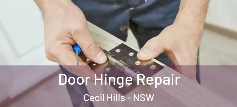 Door Hinge Repair Cecil Hills - NSW