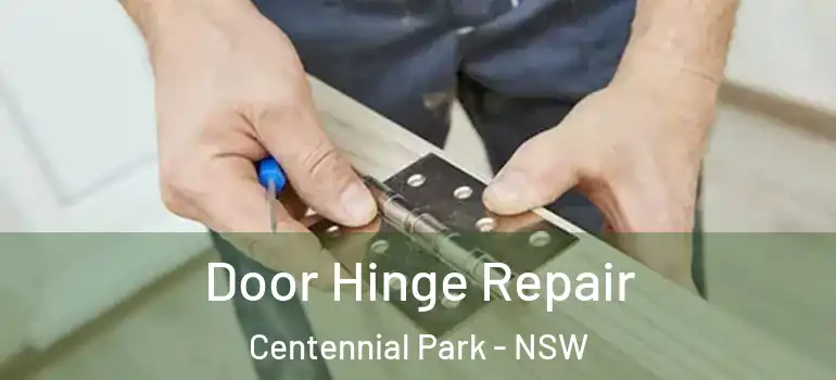  Door Hinge Repair Centennial Park - NSW