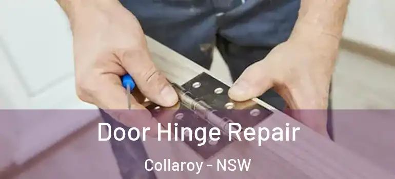 Door Hinge Repair Collaroy - NSW