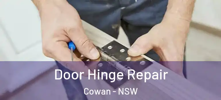  Door Hinge Repair Cowan - NSW
