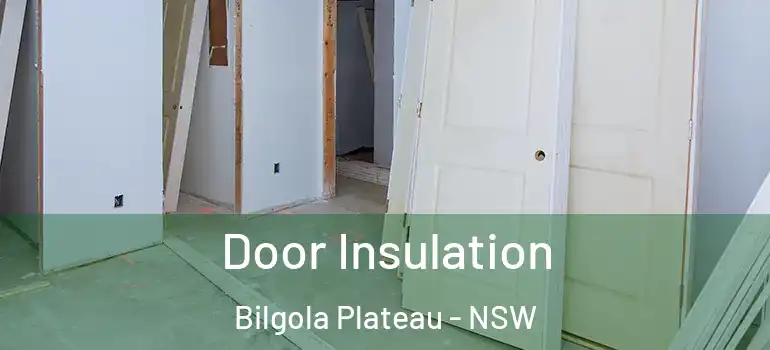 Door Insulation Bilgola Plateau - NSW