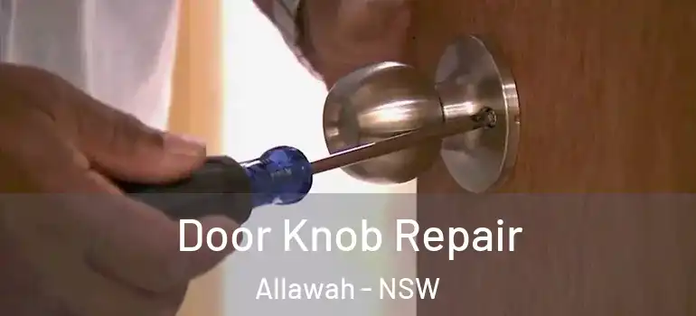  Door Knob Repair Allawah - NSW