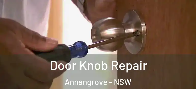 Door Knob Repair Annangrove - NSW