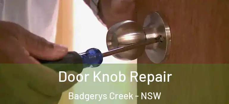 Door Knob Repair Badgerys Creek - NSW