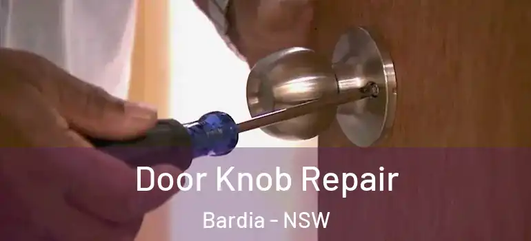 Door Knob Repair Bardia - NSW