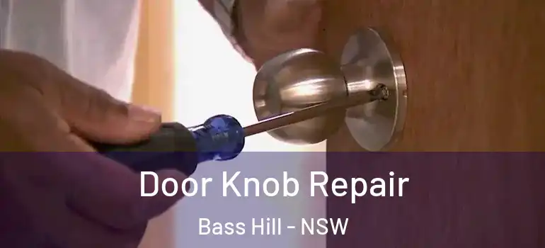 Door Knob Repair Bass Hill - NSW