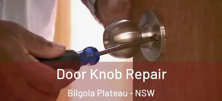 Door Knob Repair Bilgola Plateau - NSW