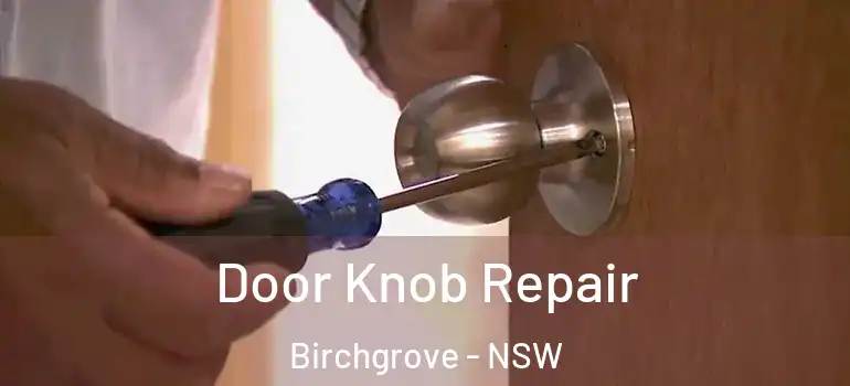 Door Knob Repair Birchgrove - NSW