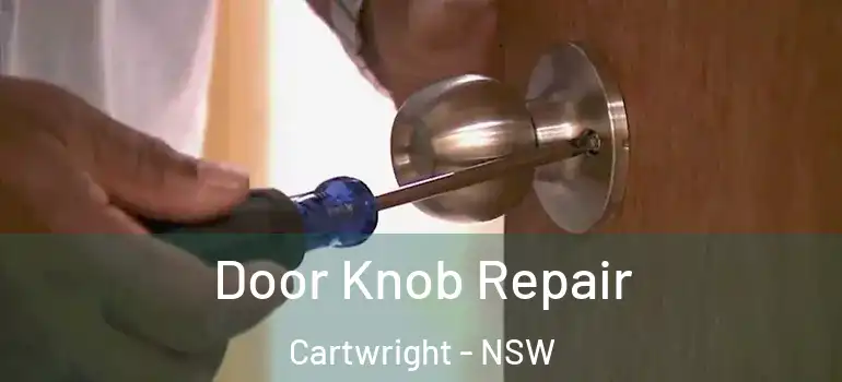 Door Knob Repair Cartwright - NSW
