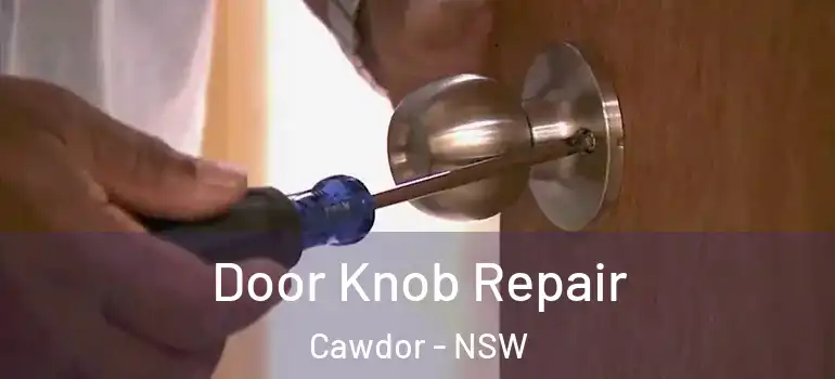 Door Knob Repair Cawdor - NSW