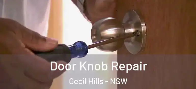  Door Knob Repair Cecil Hills - NSW
